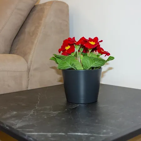 Luxury Petra شقة سبليت