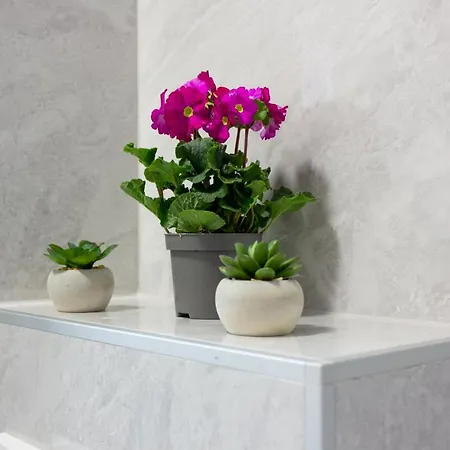 Luxury Petra شقة سبليت