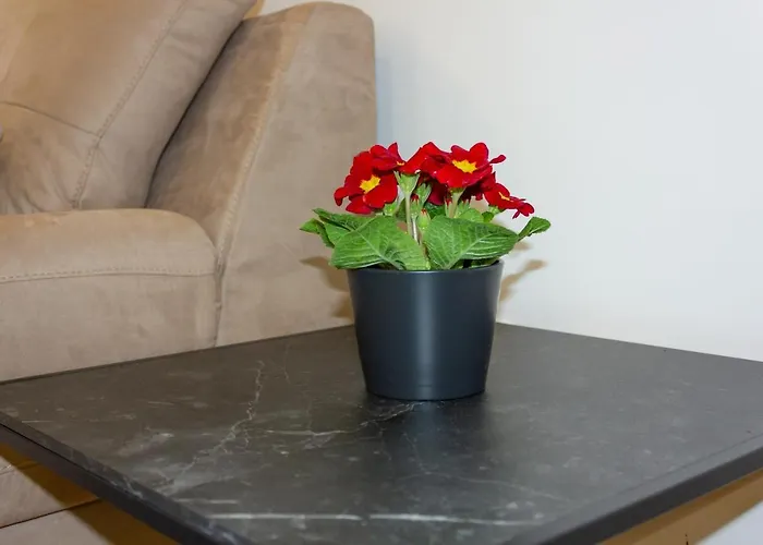 Luxury Petra 아파트 스플리트