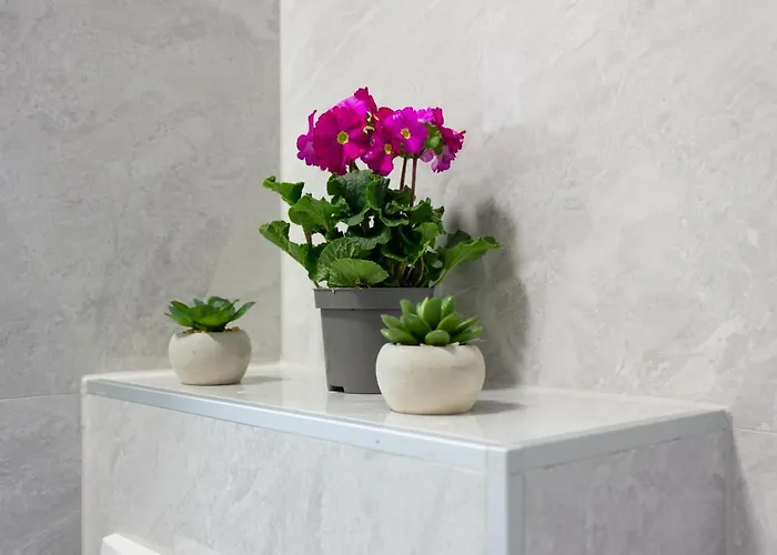 Luxury Petra 아파트 스플리트